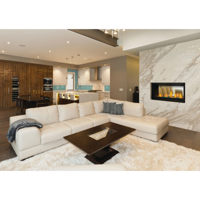 Napoleon Vector 38" See-Through Direct Vent Linear Gas Fireplace, Electronic Ignition (LV38N2-1)